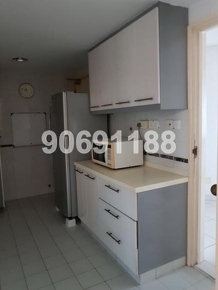 The Tanamera (D16), Condominium #148748392